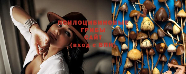 spice Балабаново