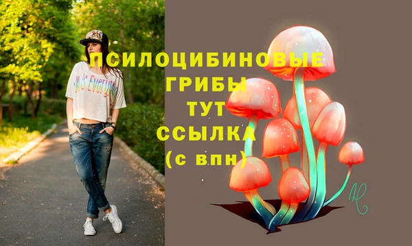 spice Балабаново