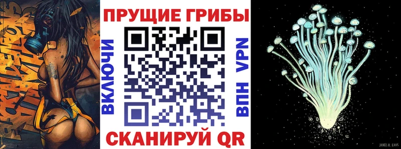 Псилоцибиновые грибы GOLDEN TEACHER  Губаха 