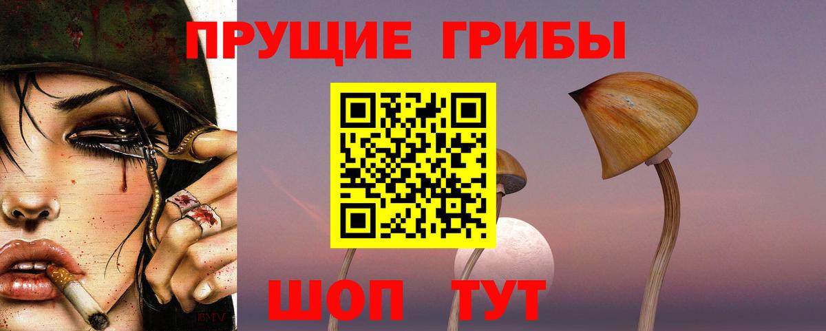 Псилоцибиновые грибы GOLDEN TEACHER  Вход с VPN  наркота  Псилоцибиновые грибы прущие грибы  Губаха 